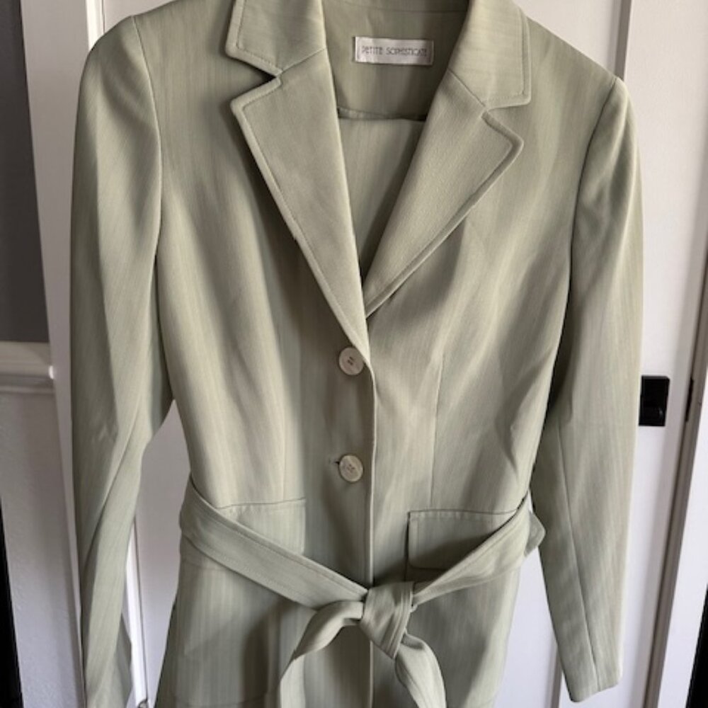 Petite Sophisticate Pant Suit Size 2